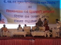 PTSNS University Fest Life photo 3